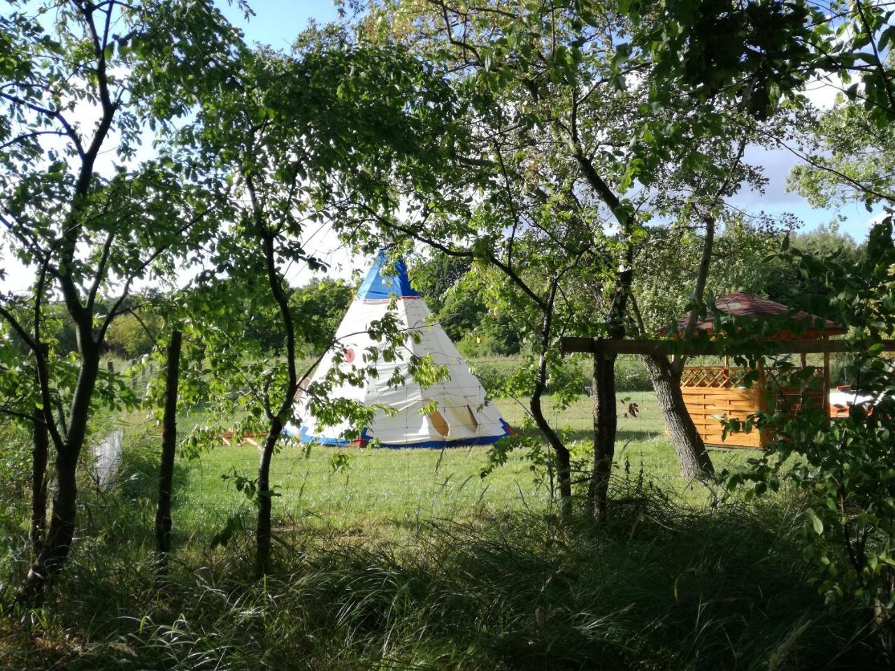 Hotel Glamping Podgrodzie Nowe Warpno Exteriér fotografie